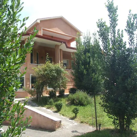 Zeus Olympus * Nea Efesos