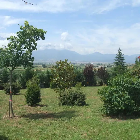 Zeus Olympus Villa Nea Efesos